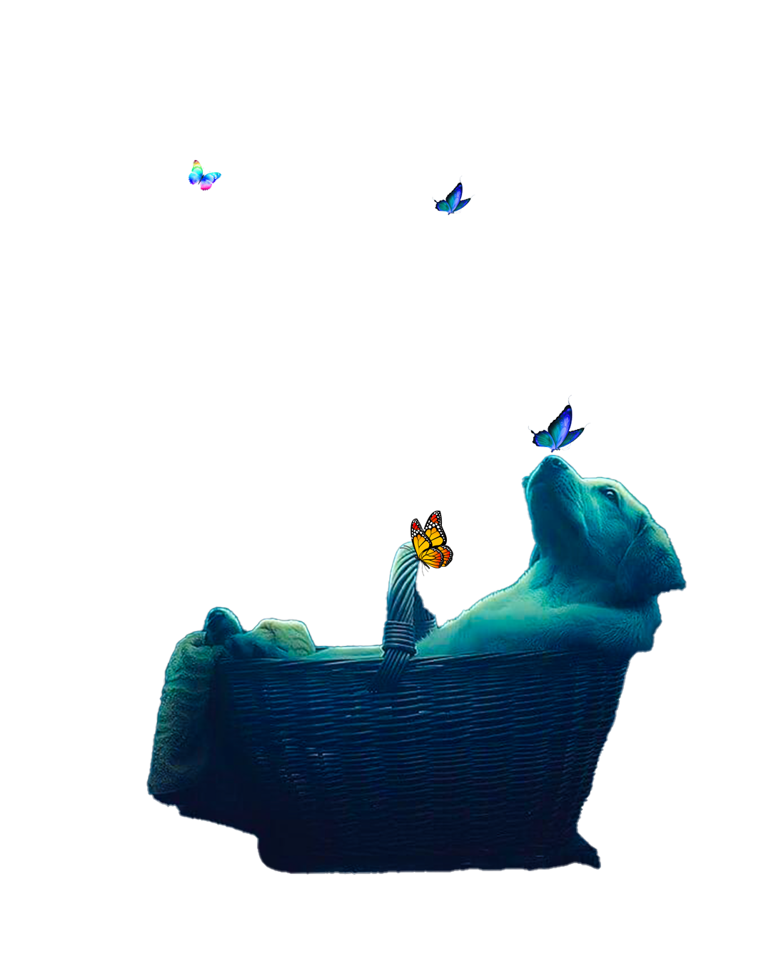 Boat Scene Manipulation 🛶⛵️