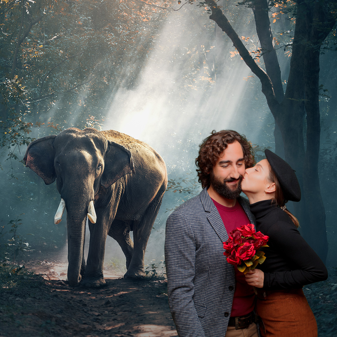 Elephant In The Forest🐘