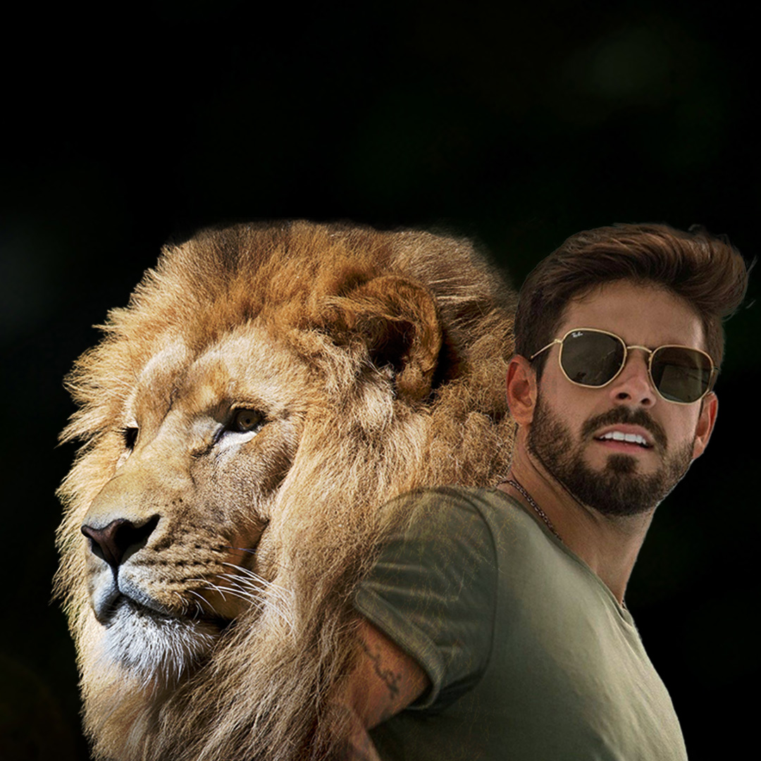 Barbary lion🦁🦁