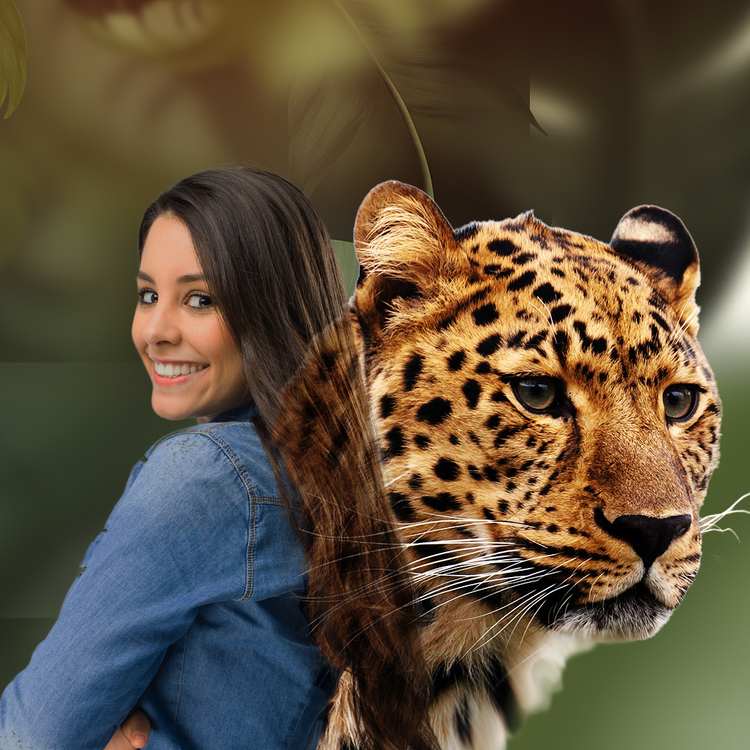 Cheetah🐆