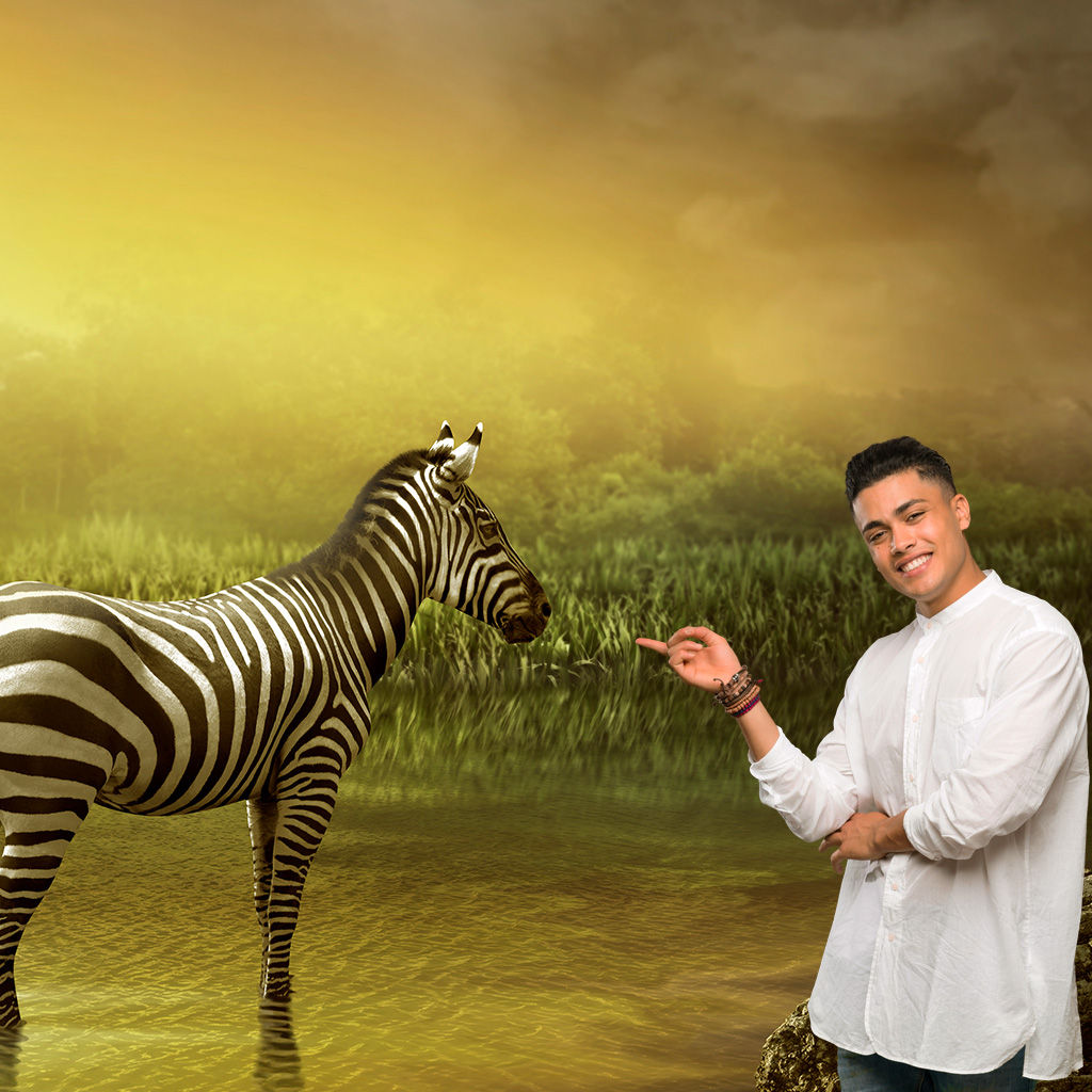 Zebra drinking water🦓