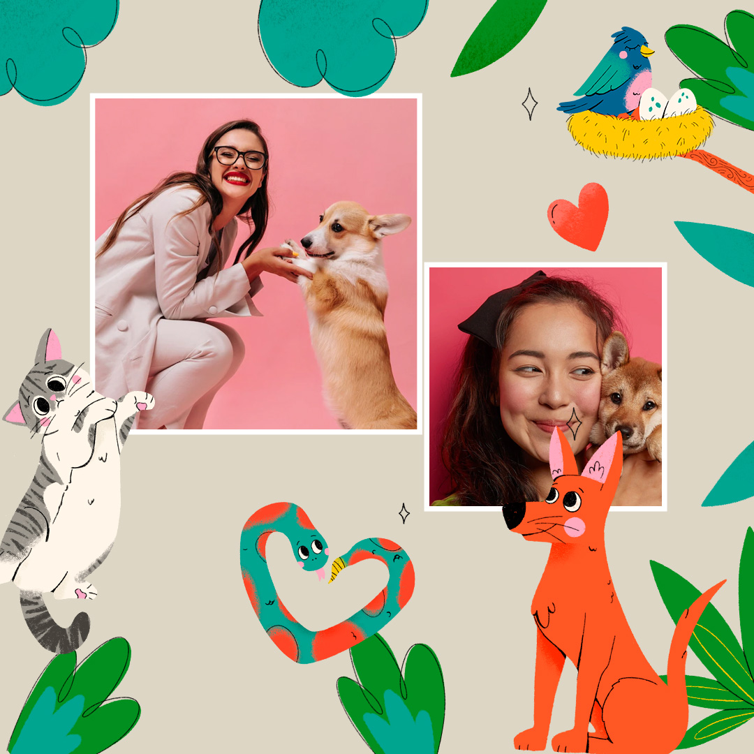 Animal frame🐈🐍