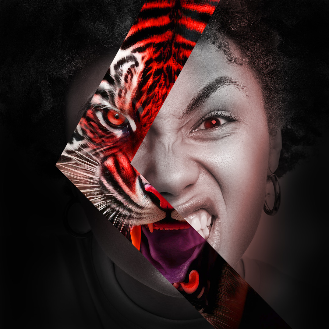 Tiger frame 🖼️🐯