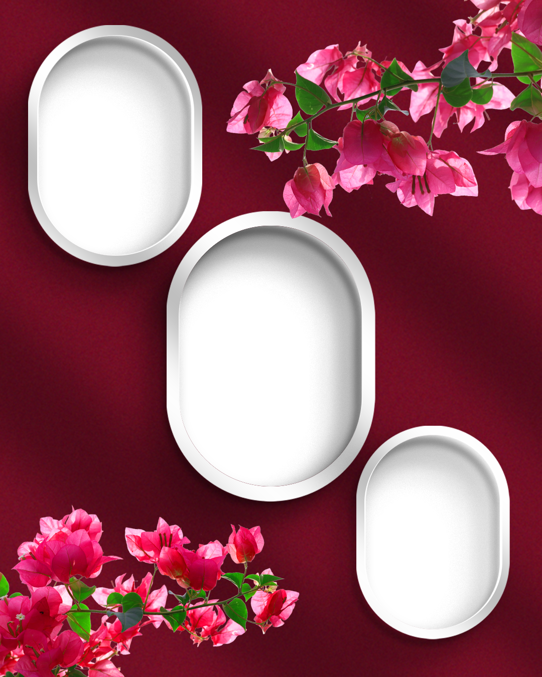 Bougainvillea flowers🌸🌸