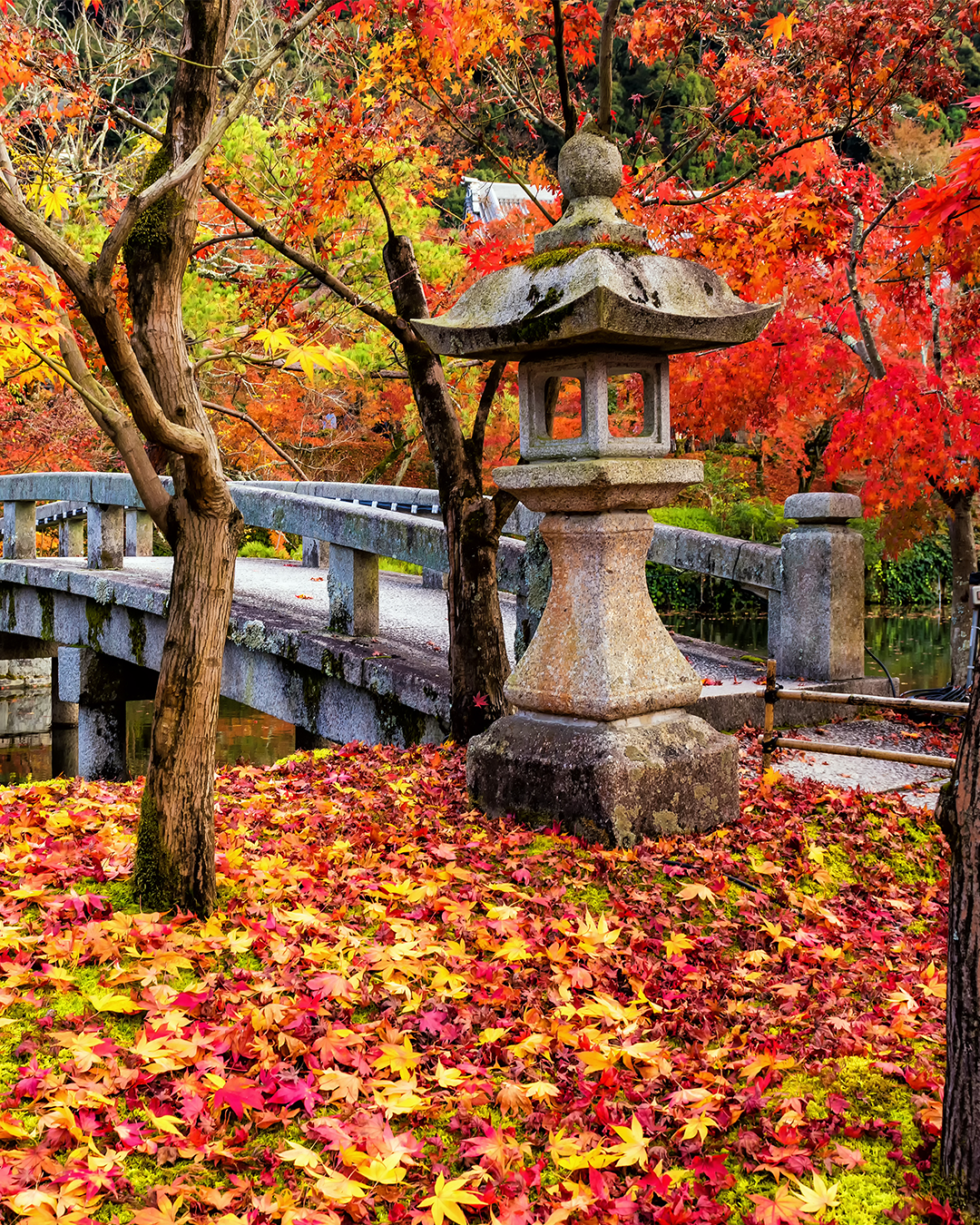 Eikan-dō Zenrin-ji Temple🍁🍂