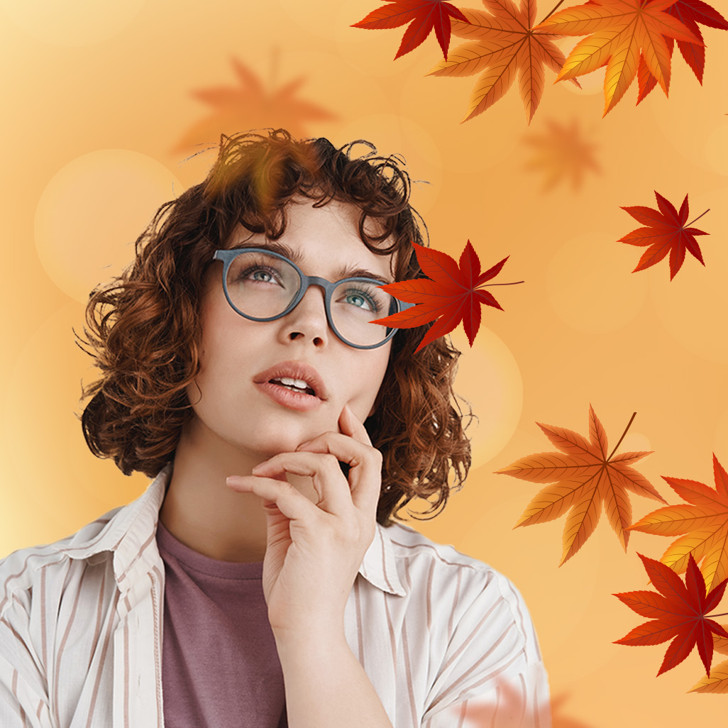 Autumn Maple Leaves🍂🍁