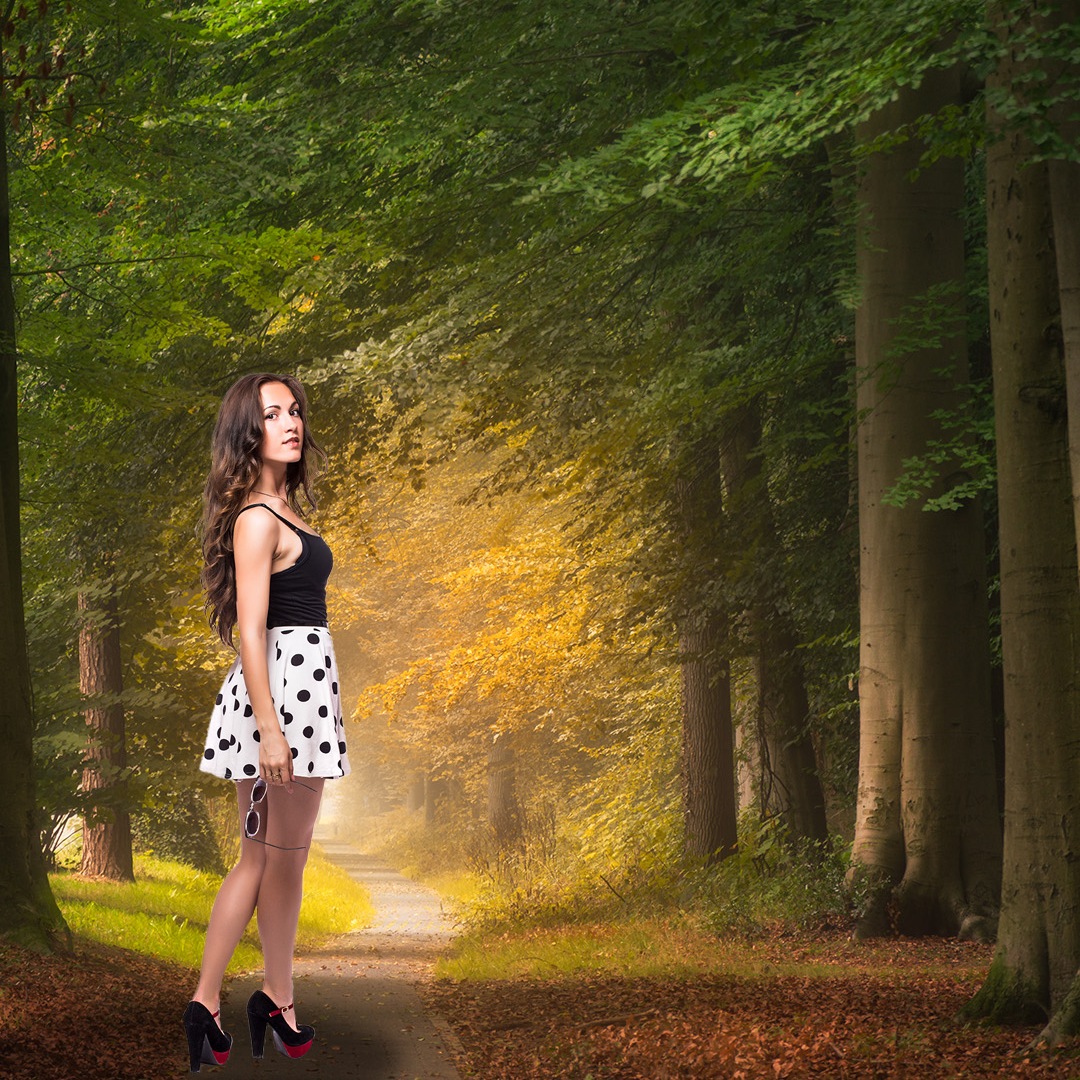Nature Forest 🌳🌳