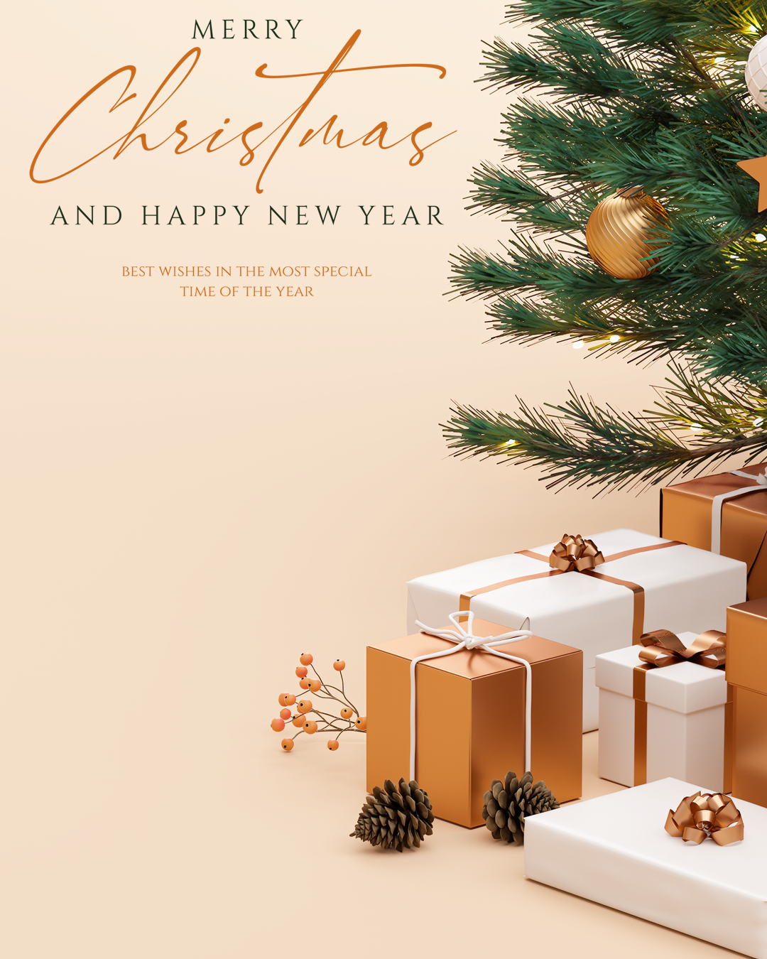 Christmas Greeting🎅🏾🎁