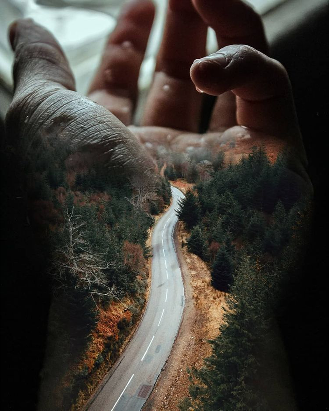 Art Photography📷📷