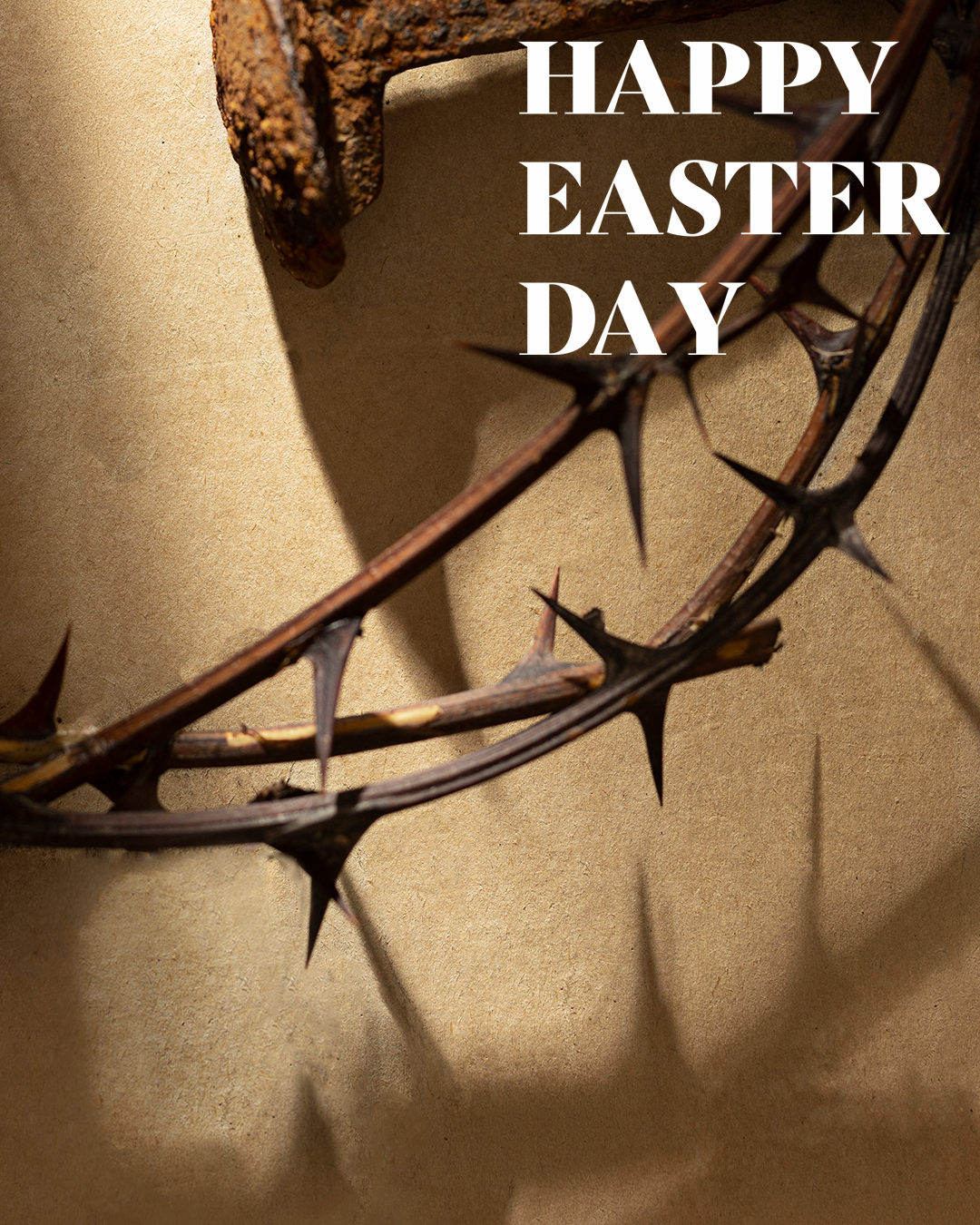 Crown of thorns🐰🐇🐤🥚