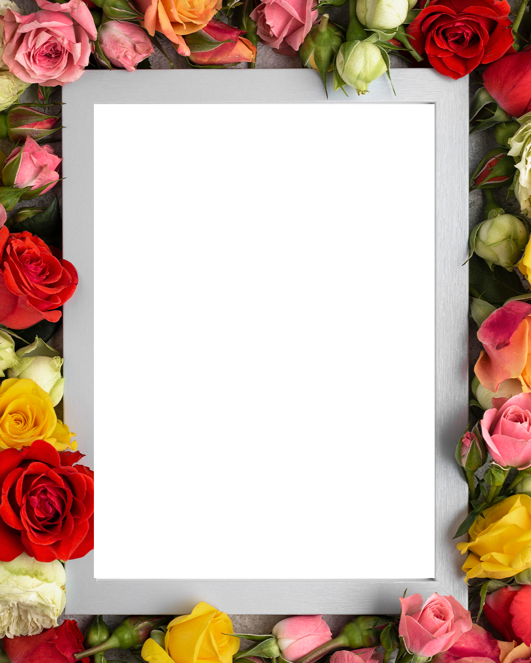 Flowers with blank frame🏵️