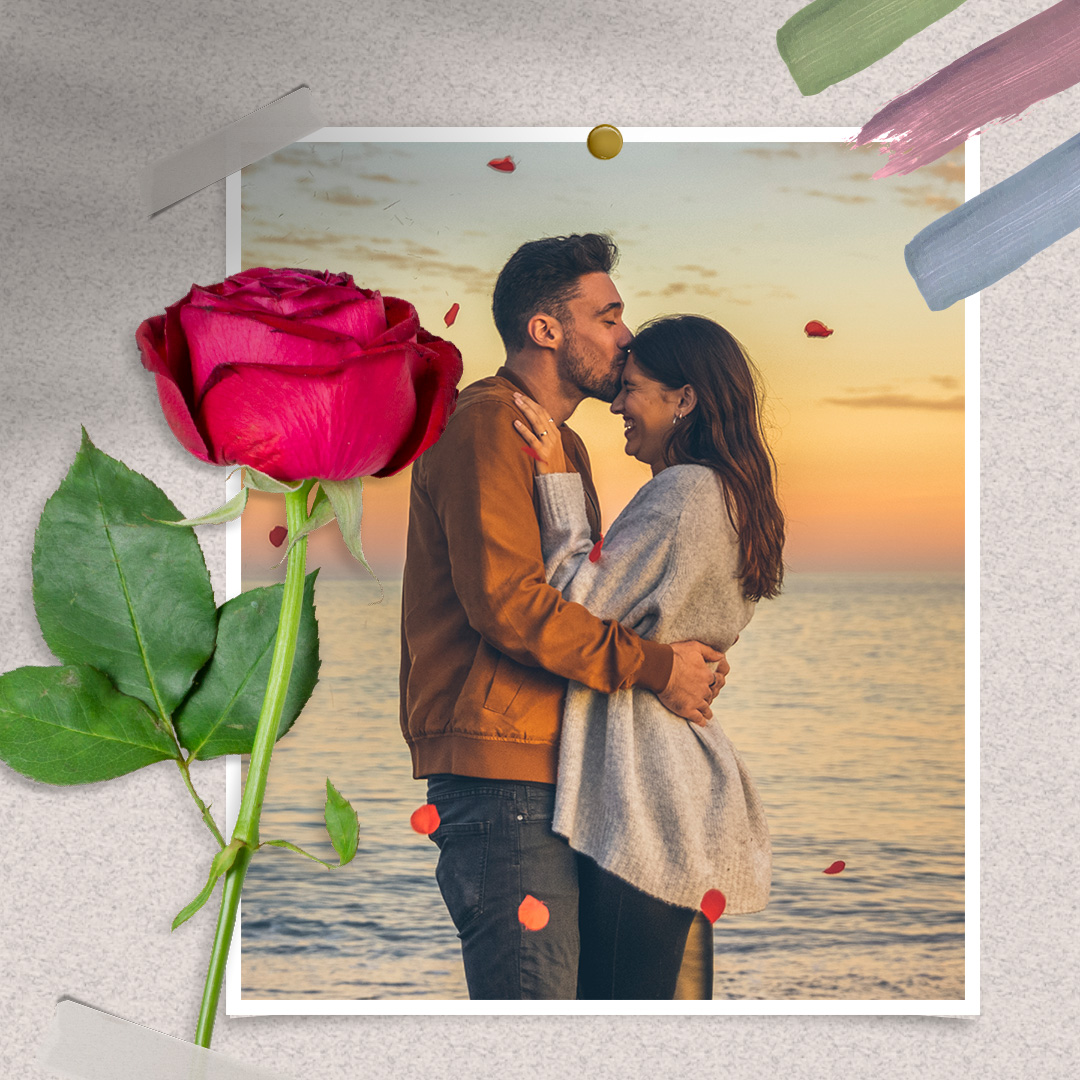 Frame with red rose🌹