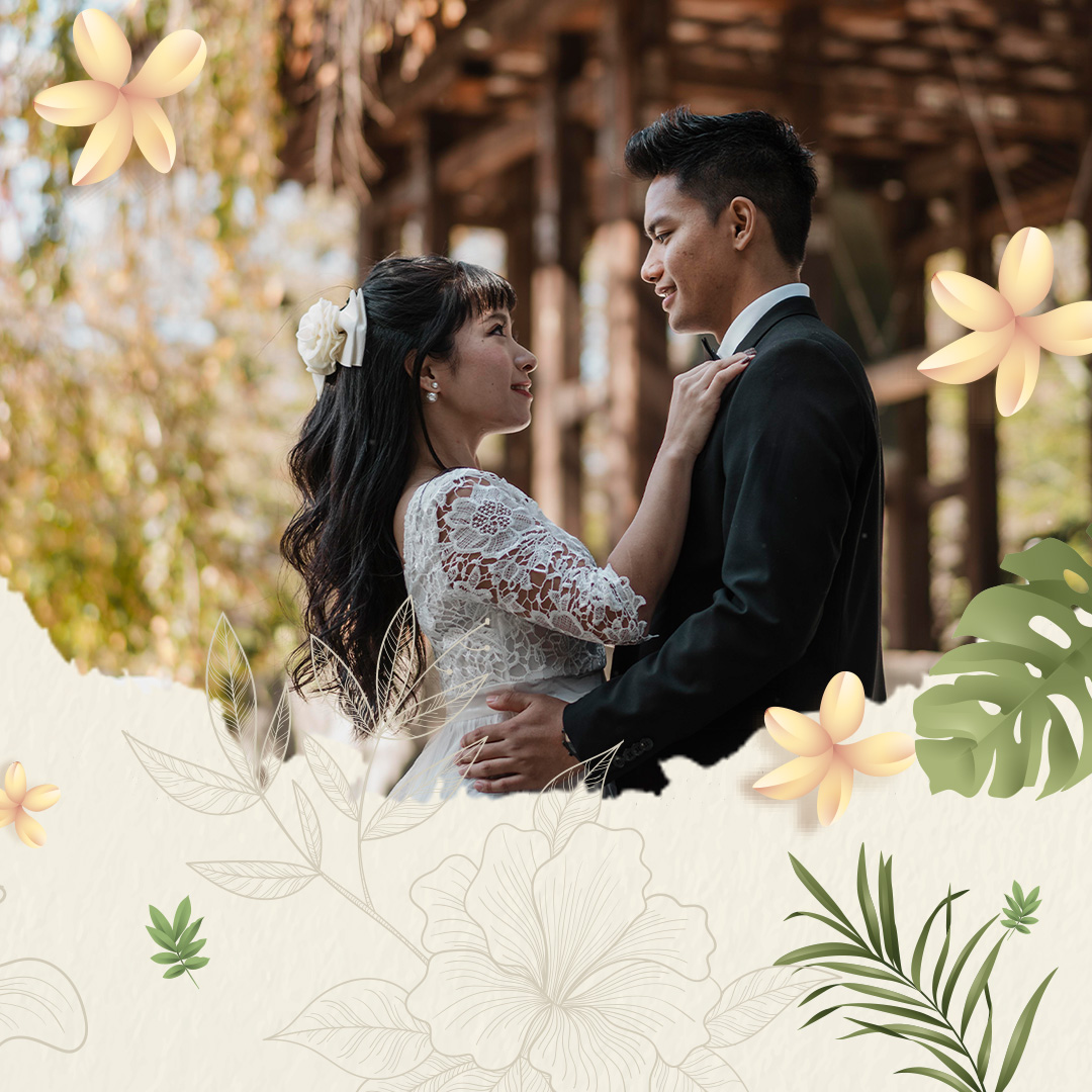 Petals floral background🌸🌸