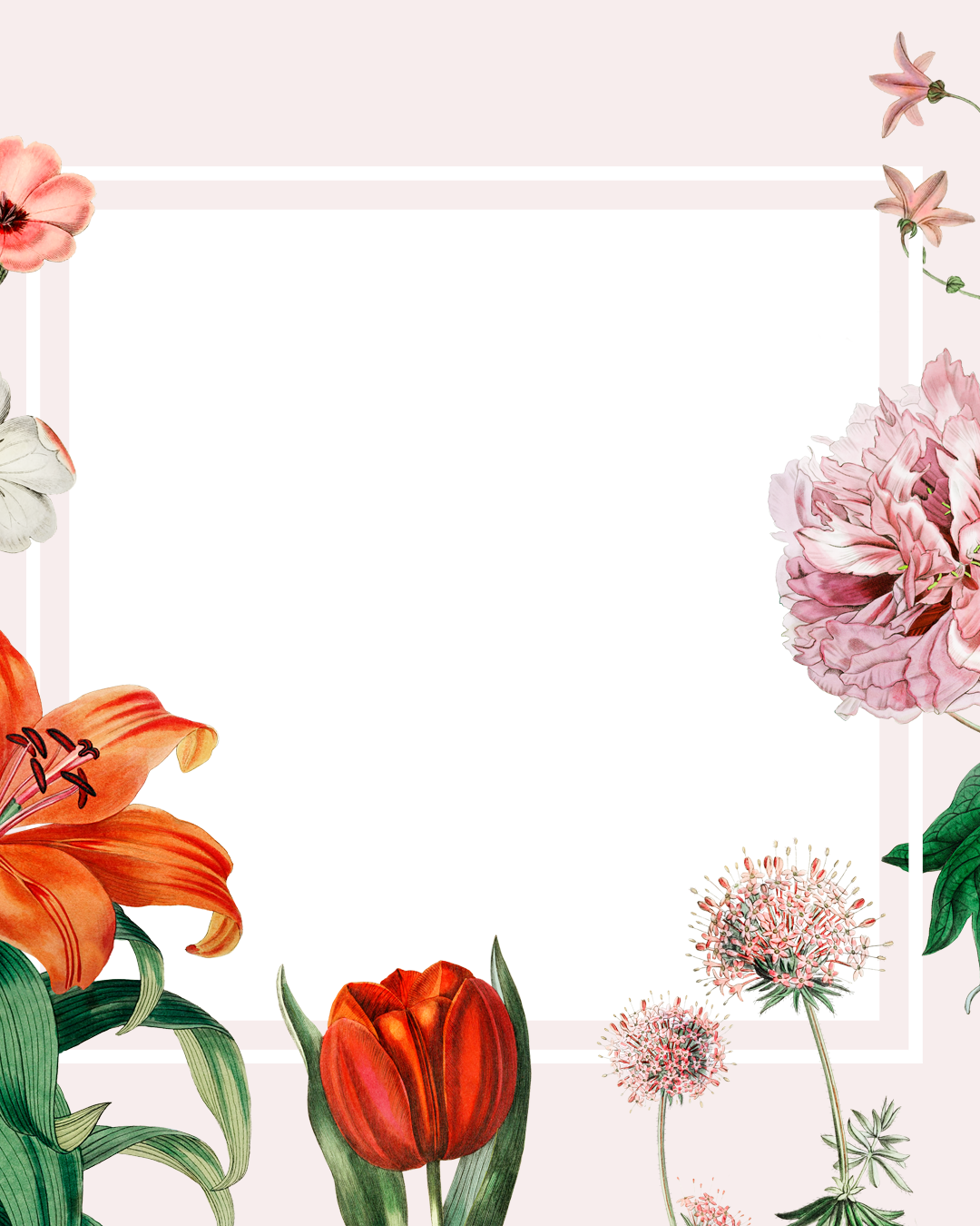 Floral frame design🌸🌺