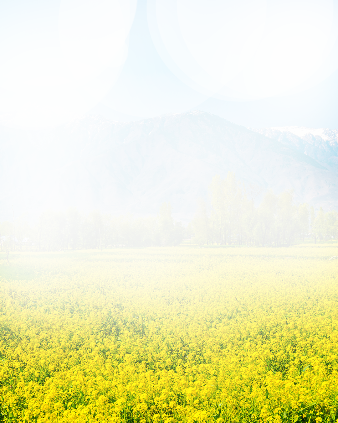 Plant green industry🪴☘️