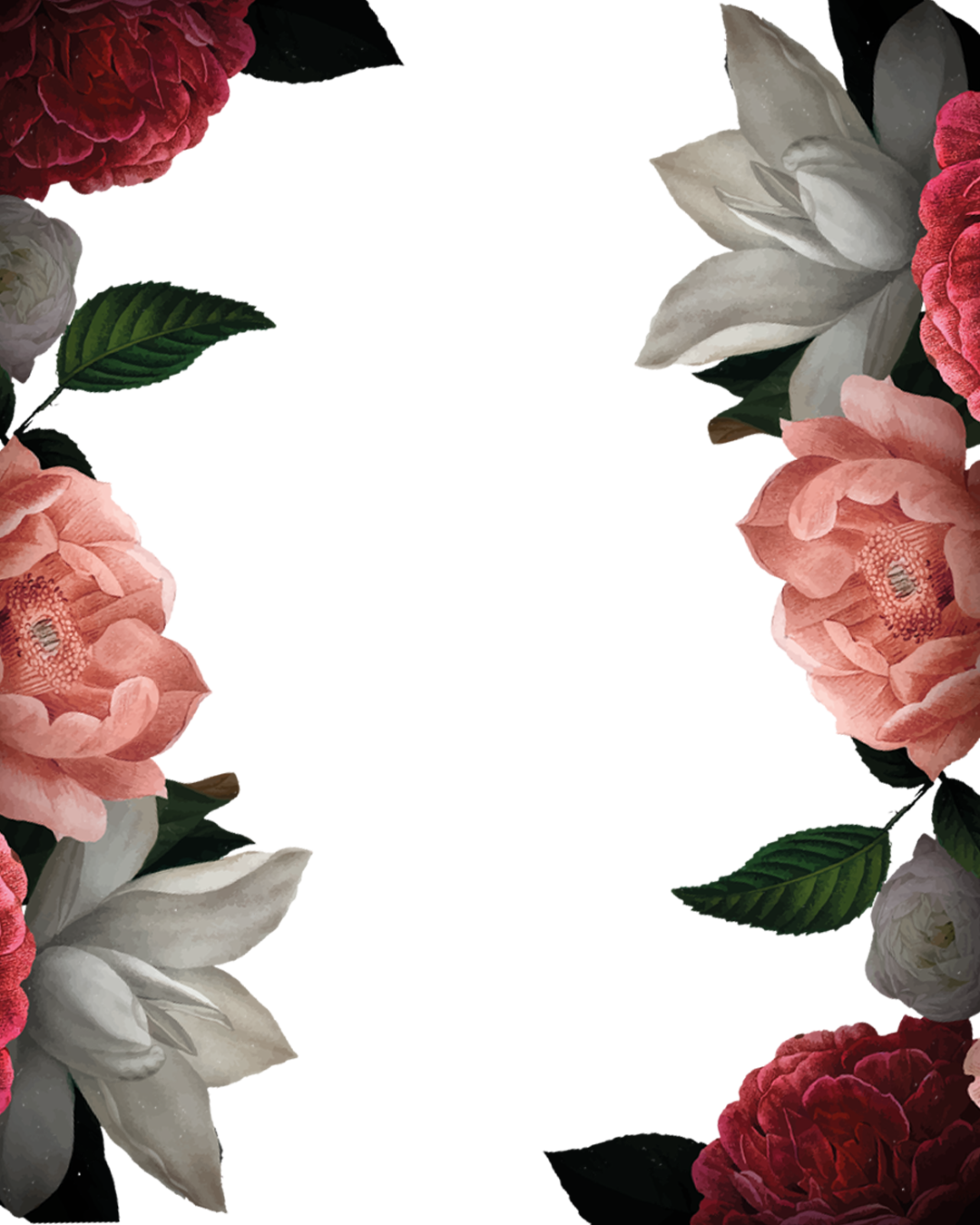 Rose Border🌹🌹