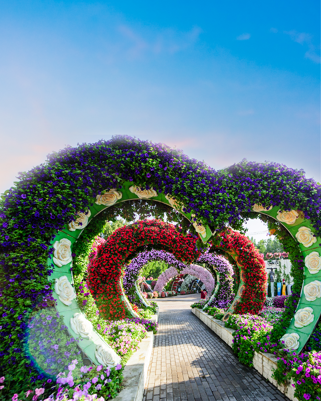 Dubai Miracle Garden🌳🌳